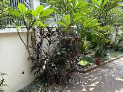 Kim Lin Park (D10), Semi-Detached #474410441